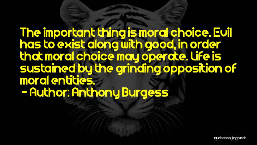 Good Life Choice Quotes By Anthony Burgess