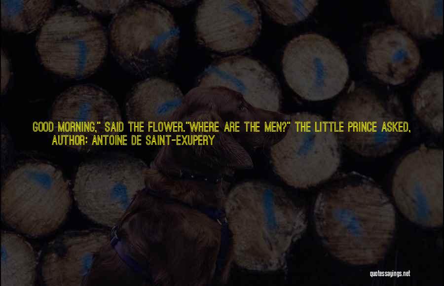 Good Little Life Quotes By Antoine De Saint-Exupery