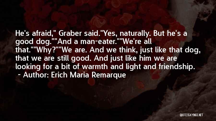 Good Looking Man Quotes By Erich Maria Remarque