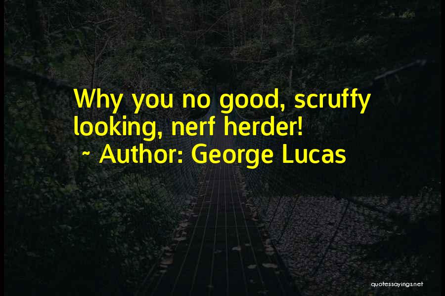 Good Looking Quotes By George Lucas