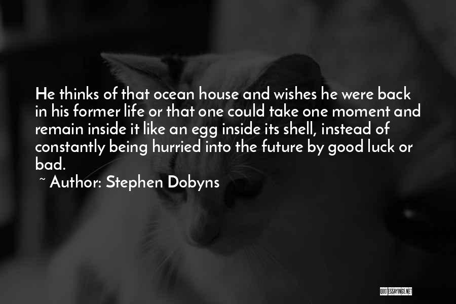 Good Luck For Future Quotes By Stephen Dobyns