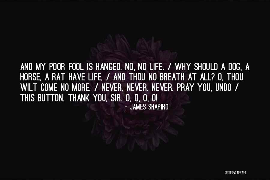 Good Luck In Future Job Quotes By James Shapiro Good Luck In Future Job Quotes By James Shapiro
