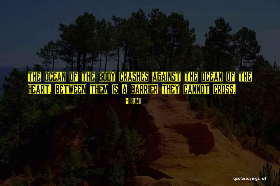 Good Luck Running Marathon Quotes By Rumi Good Luck Running Marathon Quotes By Rumi