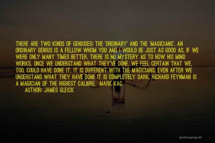 Good Magician Quotes By James Gleick