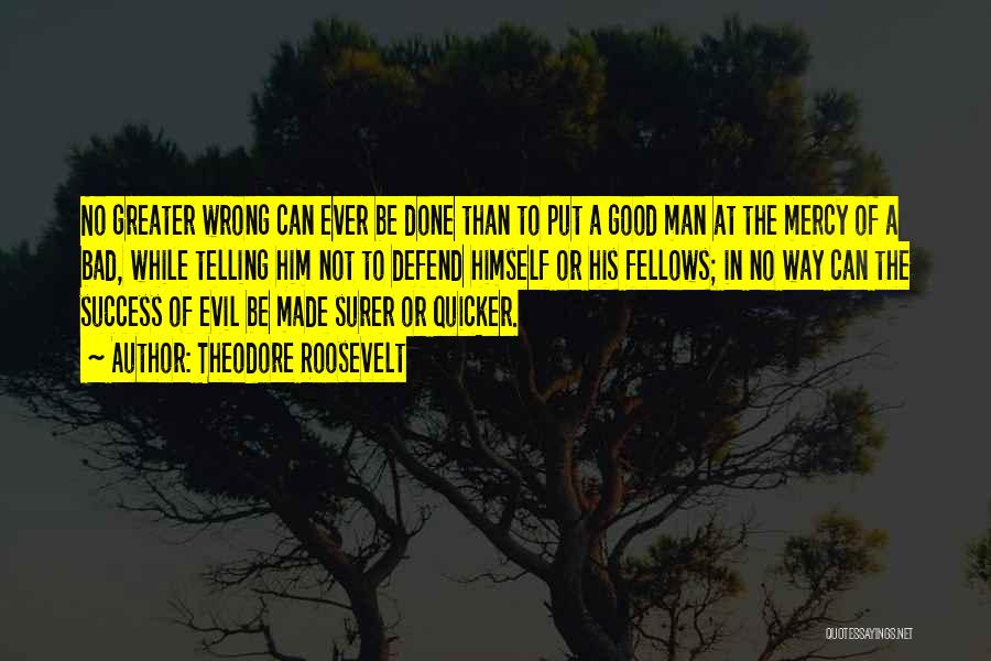 Good Man Bad Man Quotes By Theodore Roosevelt