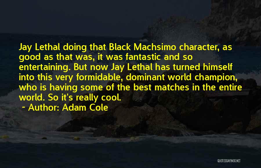 Good Matches Quotes By Adam Cole