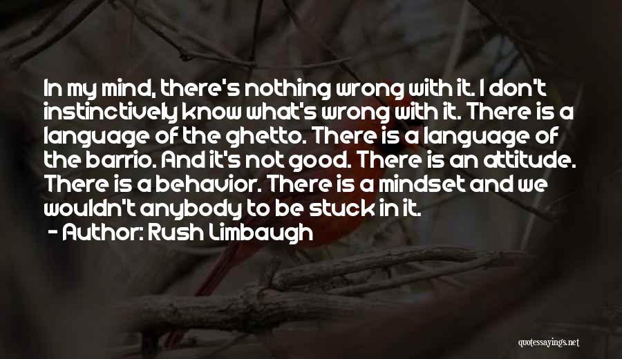 Good Mindset Quotes By Rush Limbaugh