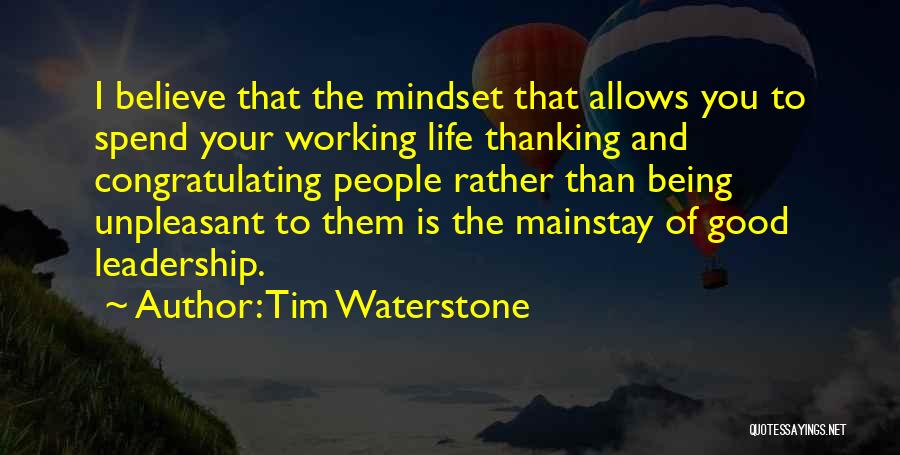 Good Mindset Quotes By Tim Waterstone