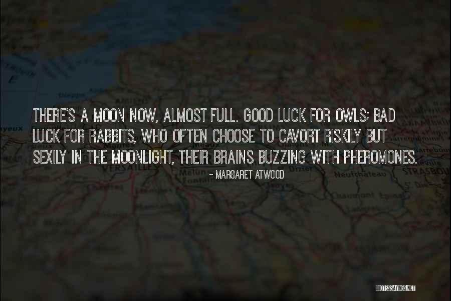 Good Moonlight Quotes By Margaret Atwood Good Moonlight Quotes By Margaret Atwood