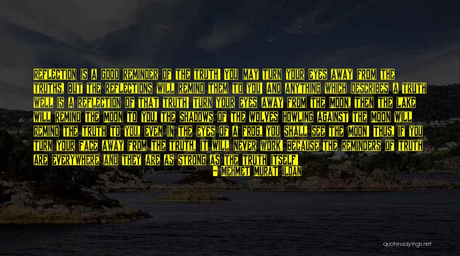 Good Moonlight Quotes By Mehmet Murat Ildan Good Moonlight Quotes By Mehmet Murat Ildan