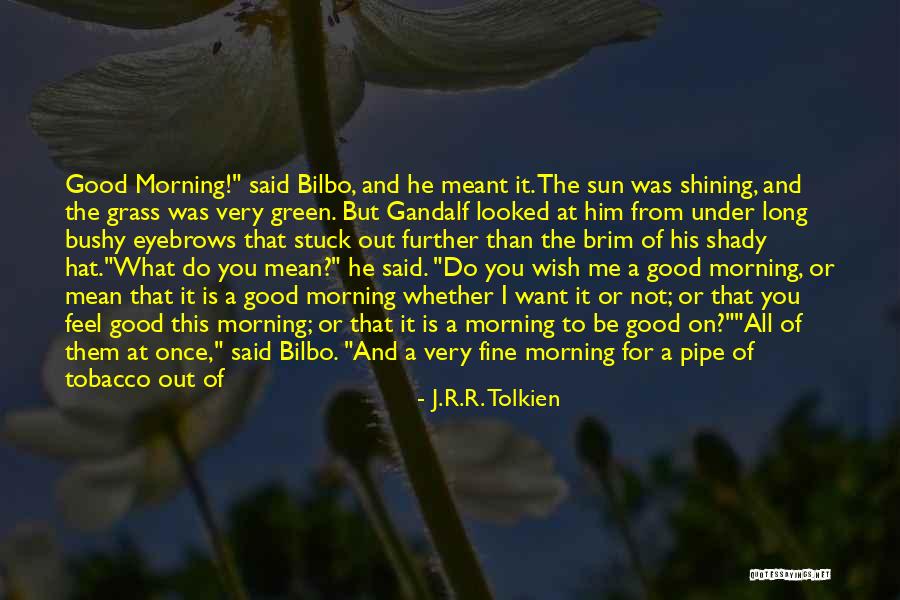 Good Morning For Quotes By J.R.R. Tolkien