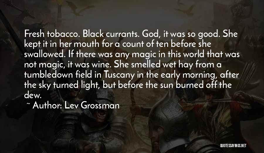 Good Morning Fresh Quotes By Lev Grossman