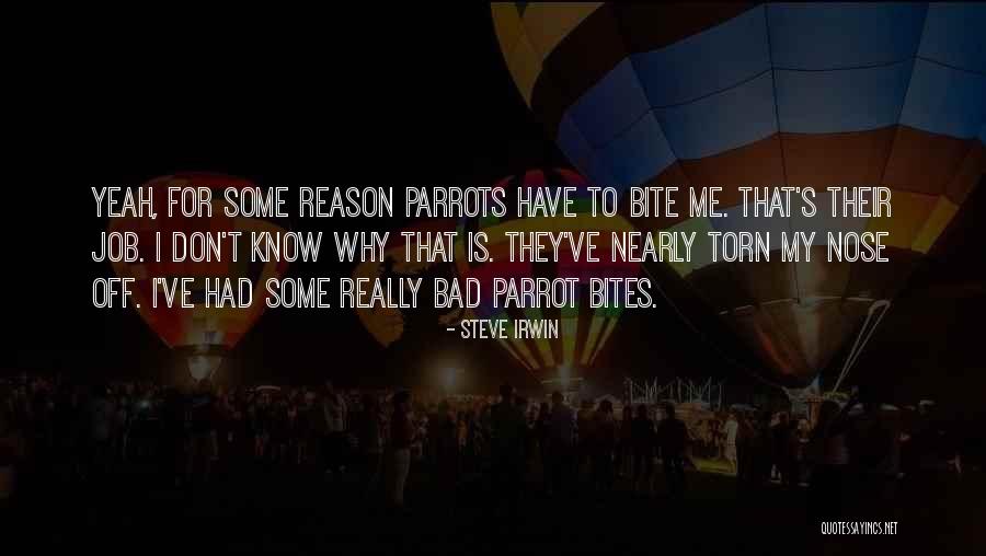 Good Morning Krishna Quotes By Steve Irwin Good Morning Krishna Quotes By Steve Irwin