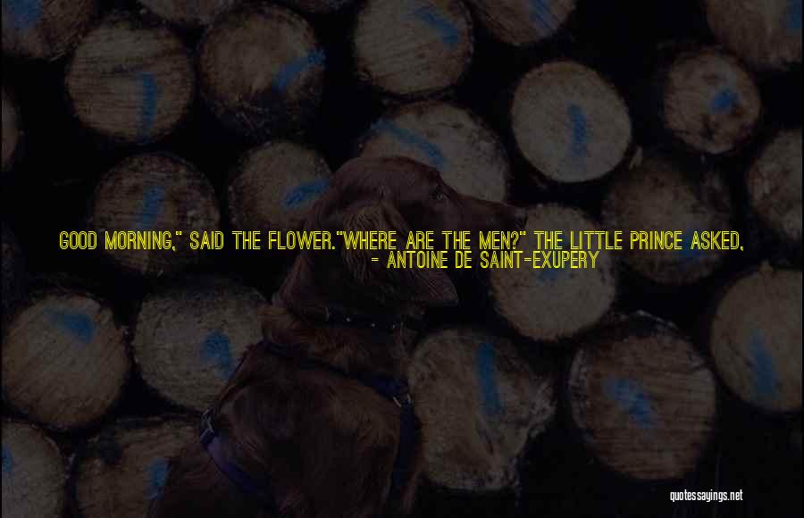 Good Morning Quotes By Antoine De Saint-Exupery Good Morning Quotes By Antoine De Saint-Exupery