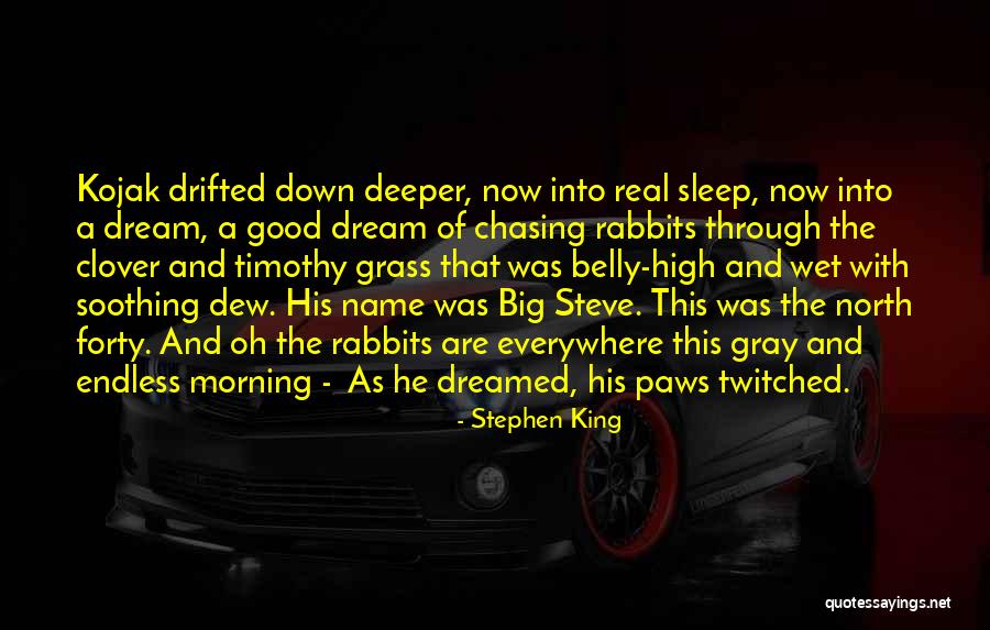 Good Morning Quotes By Stephen King Good Morning Quotes By Stephen King