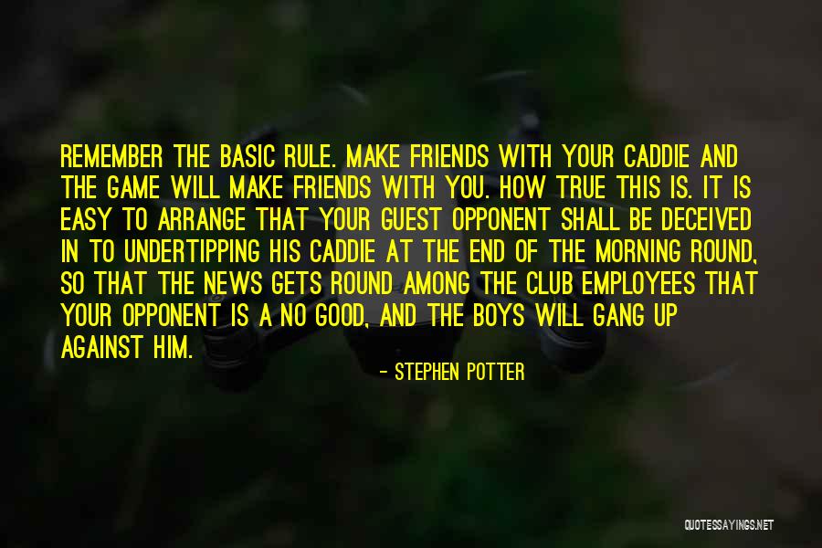 Good Morning Quotes By Stephen Potter