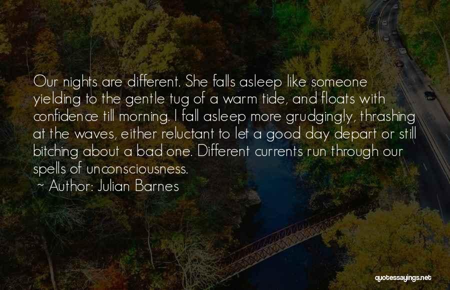 Good Morning Run Quotes By Julian Barnes