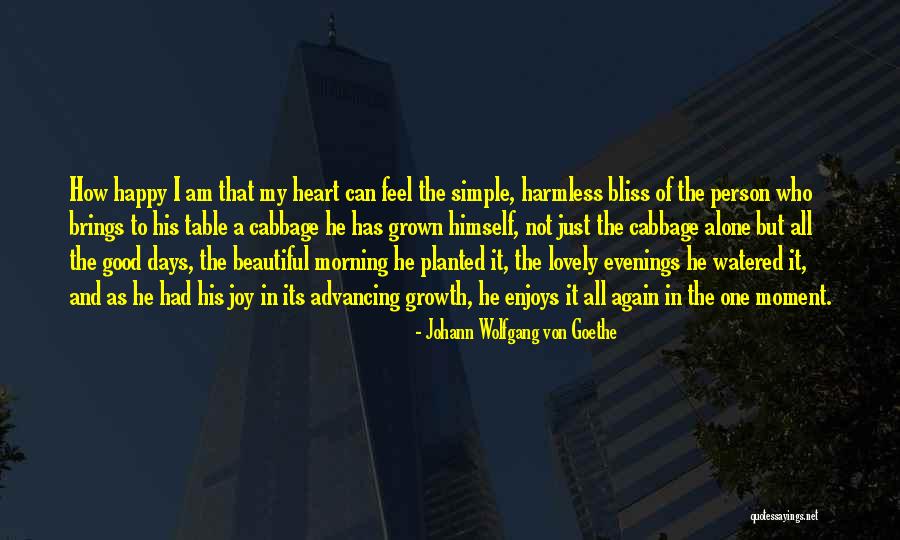 Good Morning To Quotes By Johann Wolfgang Von Goethe