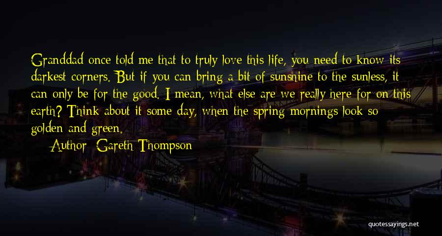 Good Mornings Quotes By Gareth Thompson