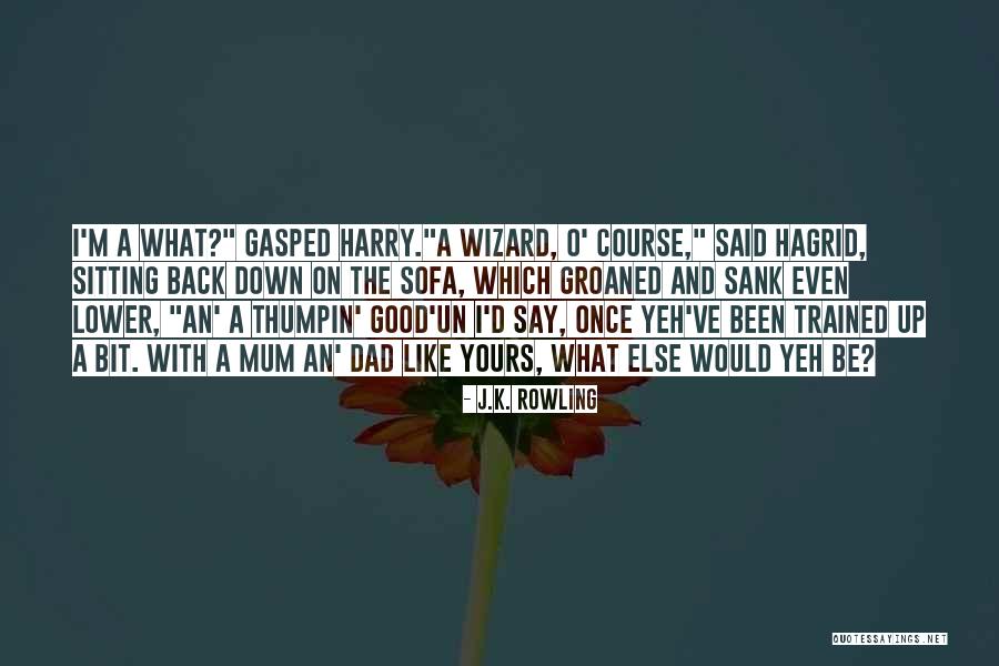 Good Mum Quotes By J.K. Rowling Good Mum Quotes By J.K. Rowling