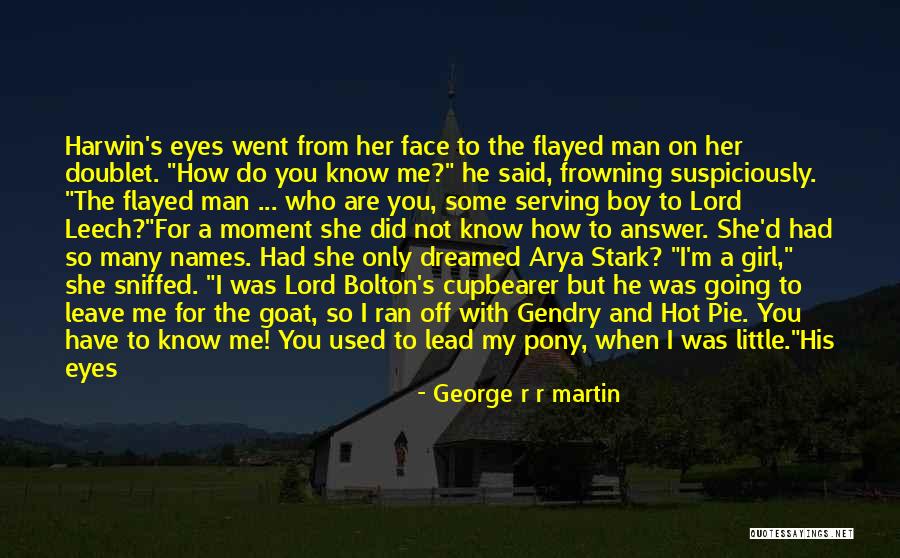 Good Names Quotes By George R R Martin