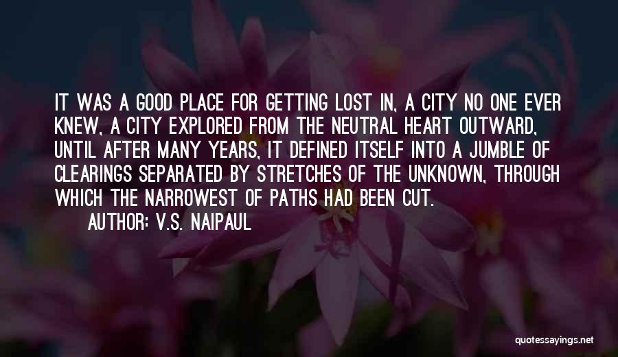 Good Neutral Quotes By V.S. Naipaul