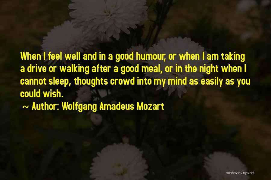 Good Night And Sleep Well Quotes By Wolfgang Amadeus Mozart