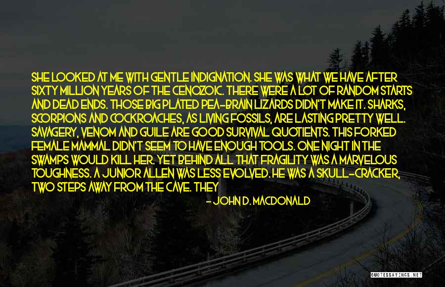 Good Night Brain Quotes By John D. MacDonald Good Night Brain Quotes By John D. MacDonald