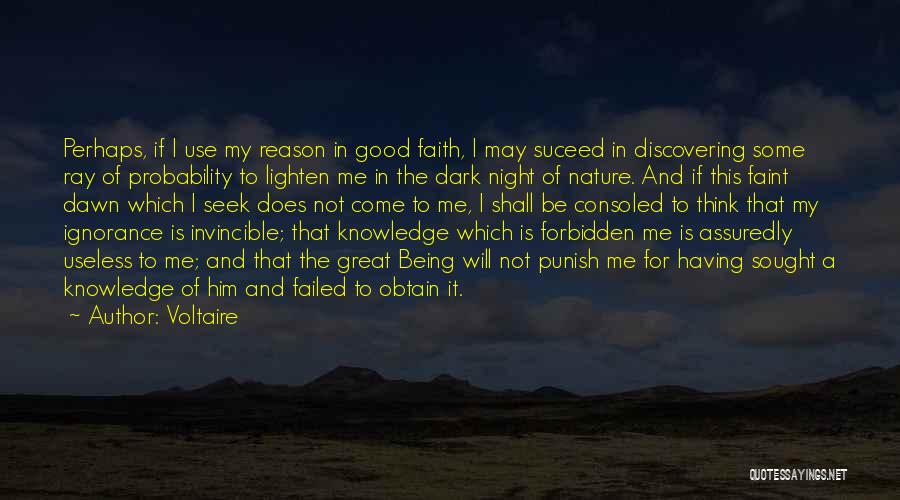 Good Night Faith Quotes By Voltaire