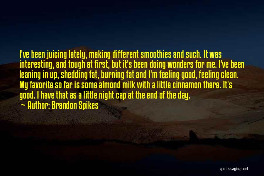 Good Night Feeling Quotes By Brandon Spikes