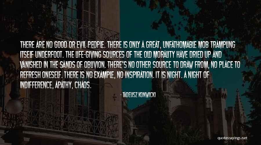 Good Night Great Quotes By Tadeusz Konwicki