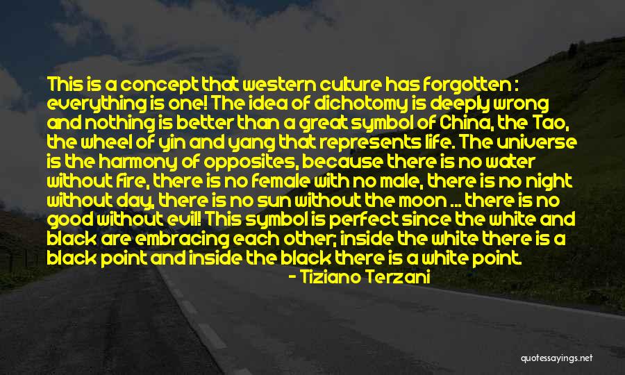 Good Night Great Quotes By Tiziano Terzani