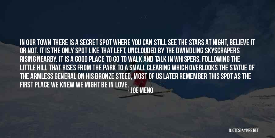 Good Night Love You Quotes By Joe Meno