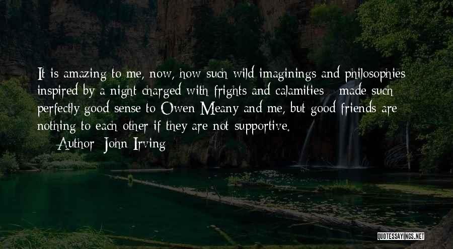 Good Night My Friends Quotes By John Irving