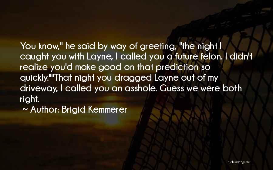 Good Night Out Quotes By Brigid Kemmerer