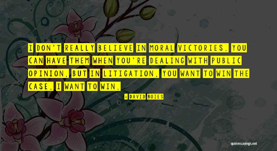 Good Night Owl Quotes By David Boies Good Night Owl Quotes By David Boies