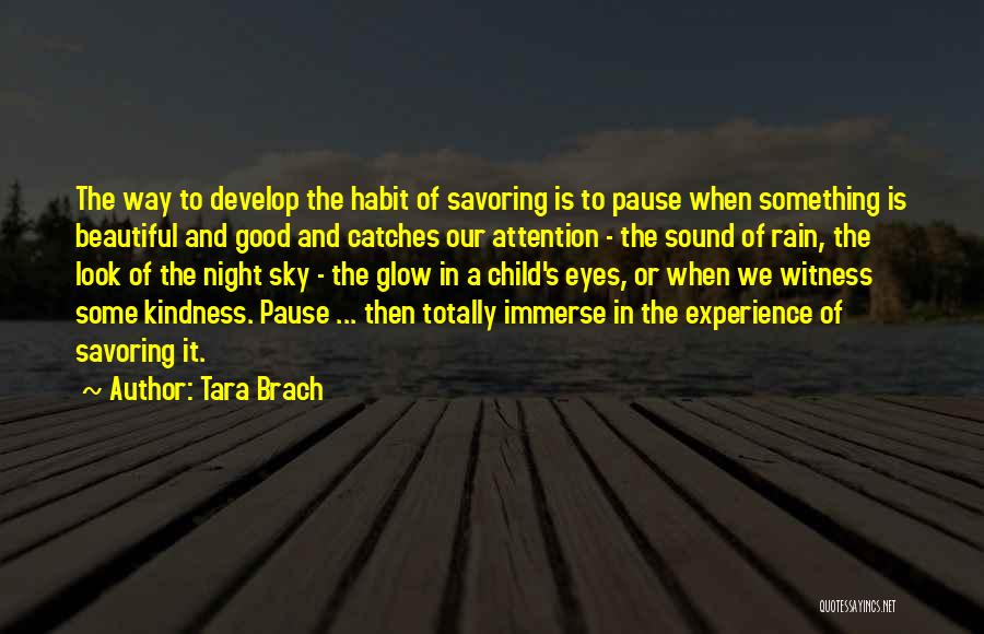 Good Night Rain Quotes By Tara Brach