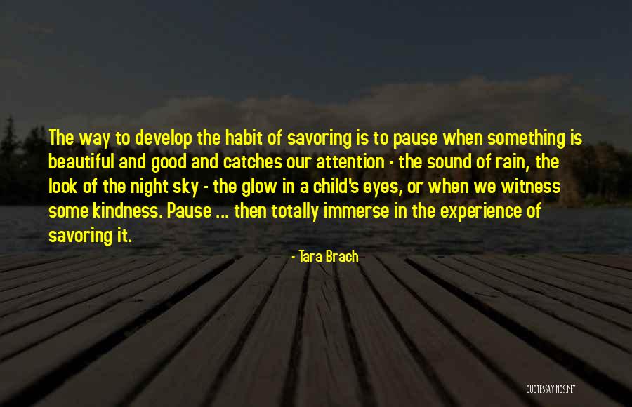 Good Night Rain Quotes By Tara Brach