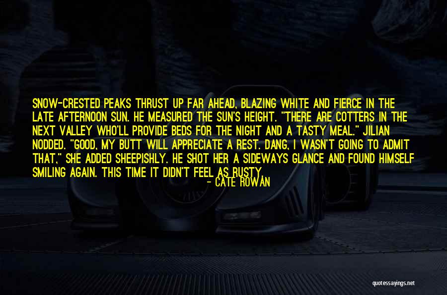 Good Night Rest Quotes By Cate Rowan Good Night Rest Quotes By Cate Rowan