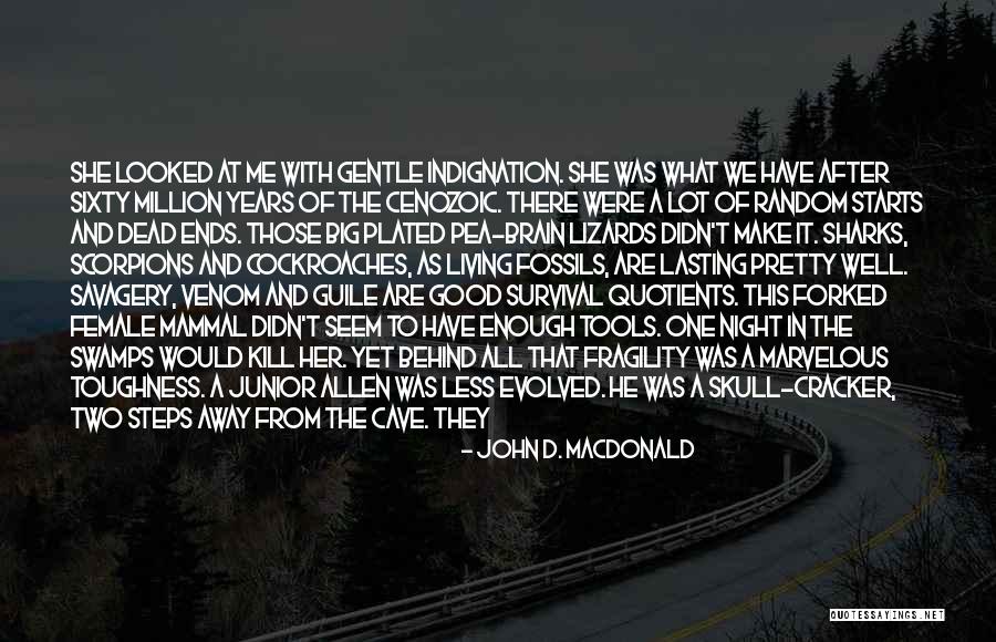 Good Night Rest Quotes By John D. MacDonald Good Night Rest Quotes By John D. MacDonald
