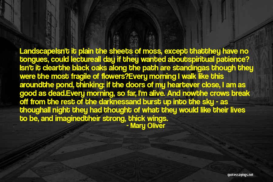 Good Night Rest Quotes By Mary Oliver Good Night Rest Quotes By Mary Oliver