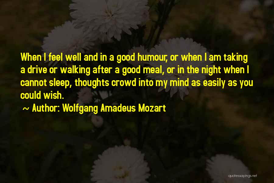 Good Night Sleep Quotes By Wolfgang Amadeus Mozart