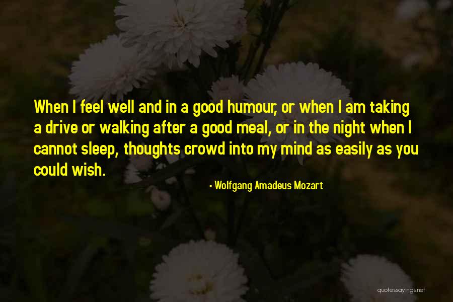 Good Night Thoughts And Quotes By Wolfgang Amadeus Mozart