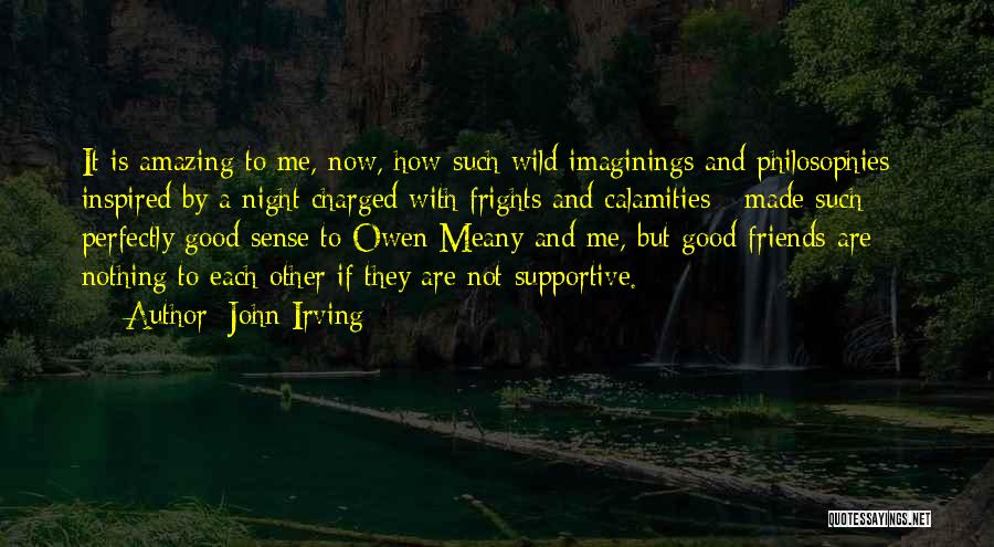 Good Night With Friends Quotes By John Irving