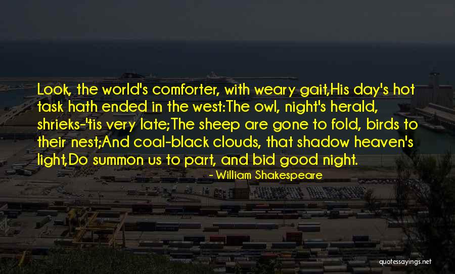Good Night World Quotes By William Shakespeare