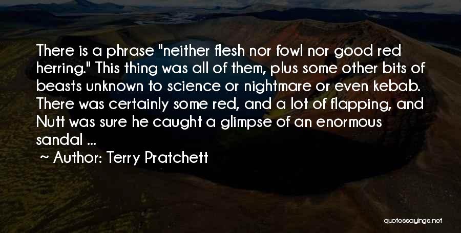 Good Nightmare Quotes By Terry Pratchett