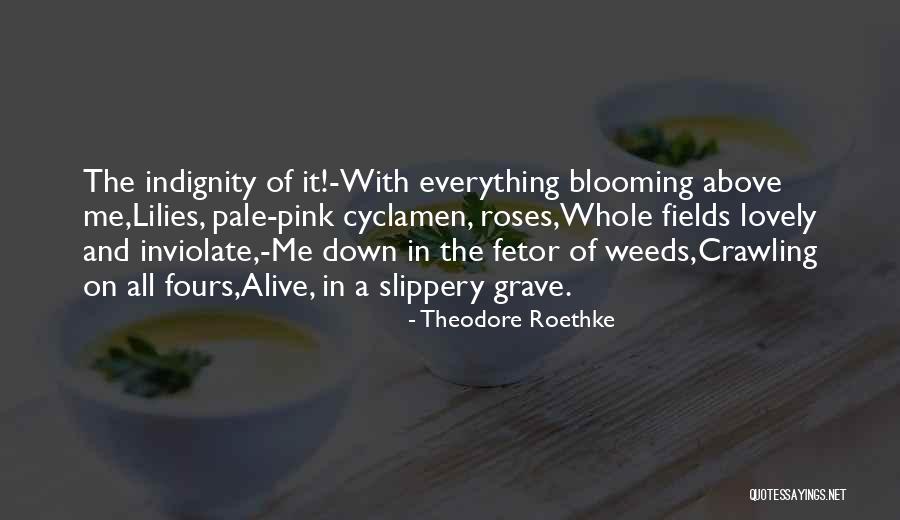 Good Ol Days Quotes By Theodore Roethke Good Ol Days Quotes By Theodore Roethke
