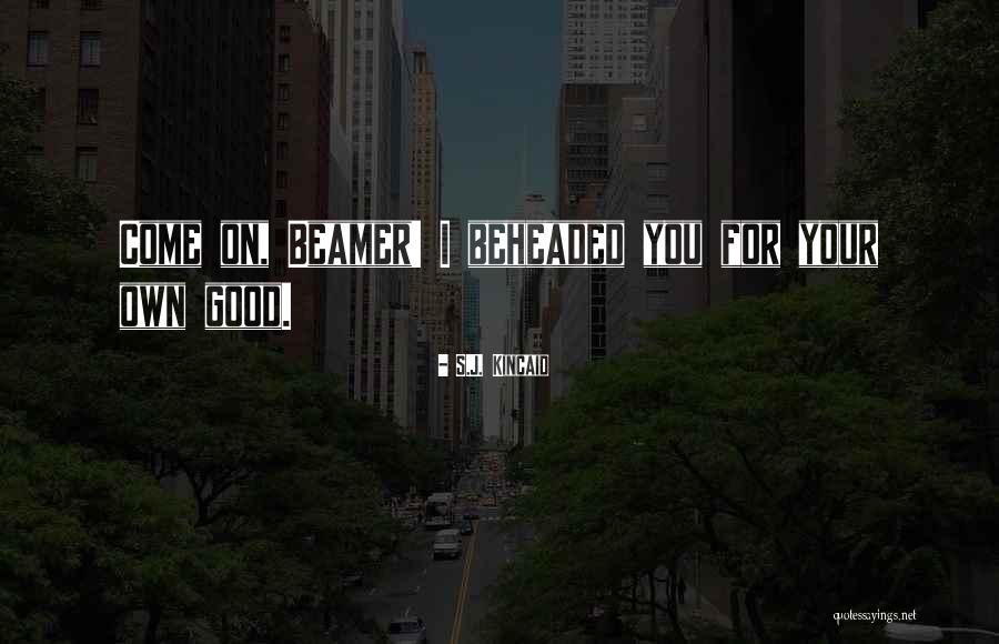 Good On Your Own Quotes By S.J. Kincaid Good On Your Own Quotes By S.J. Kincaid