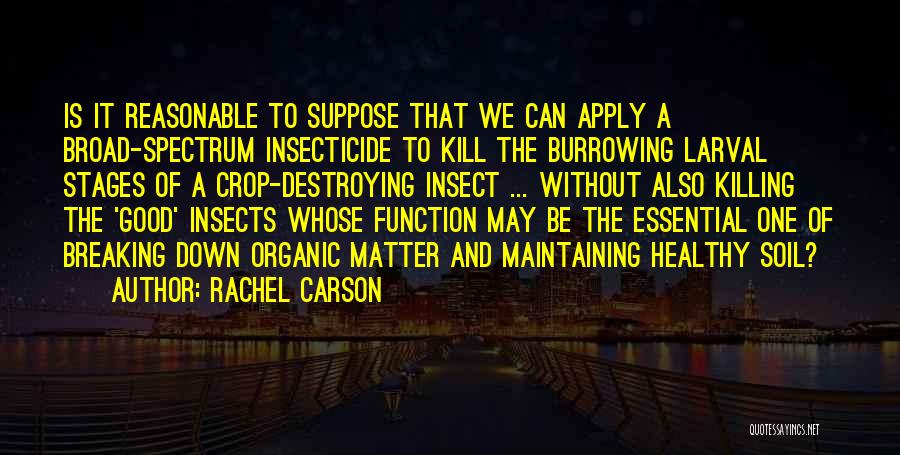 Good Organic Quotes By Rachel Carson
