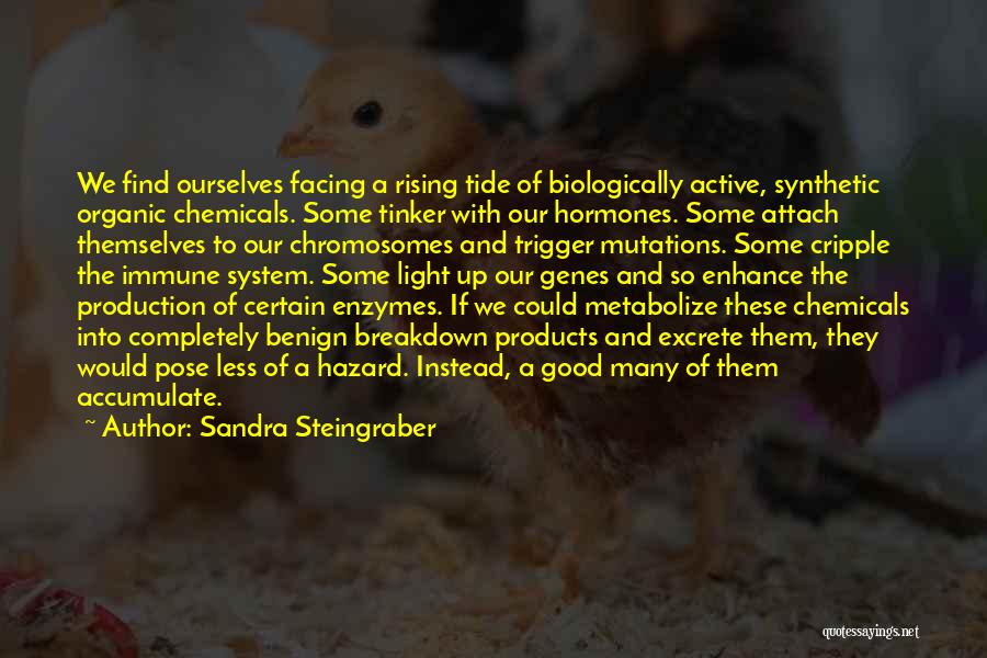 Good Organic Quotes By Sandra Steingraber